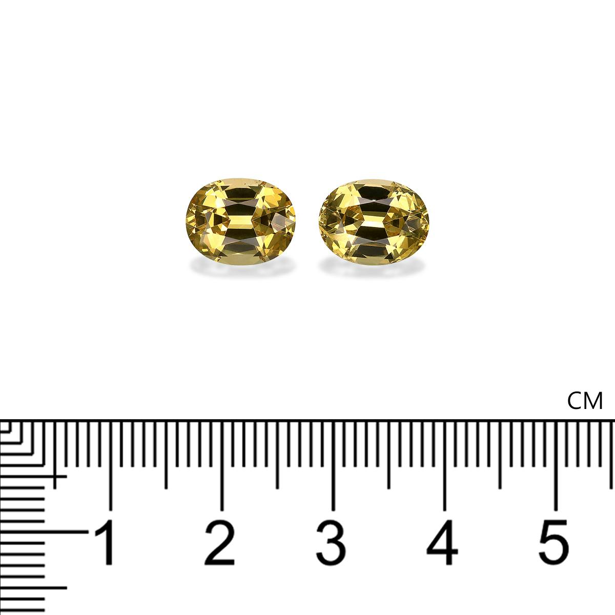 Grossular Garnet 6.68 ct